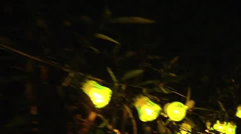 Yellow lights. Vidéo 8869845