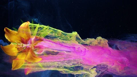 Yellow lily flower. Acrylic colors and ink in water. Stock Footage 116620562