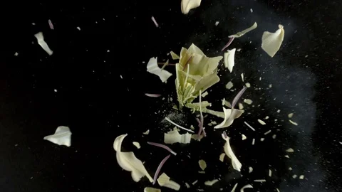 Yellow lily flower exploding in super slow motion, shot with Phantom Flex 4K 動画素材 84299349