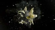 Yellow Lily Flower Exploding In Super Slow Motion, Shot With Phantom Flex 4K Stock Footage