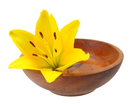 Yellow lily Stock Photos
