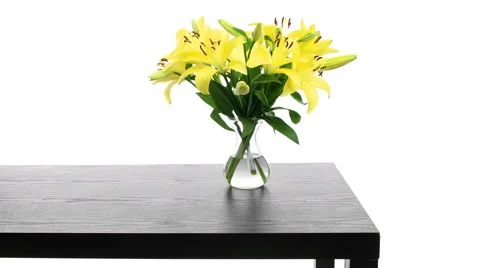 Yellow Lily Time-lapse Stock Footage 61775963