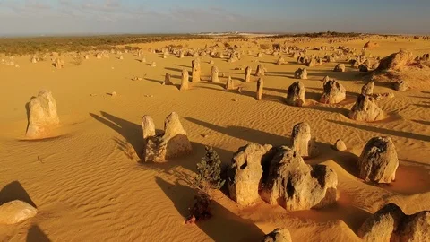 Yellow limestones in Monkey Mia Stock Footage 89638057