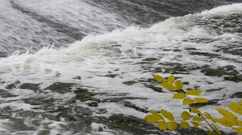 Yellow line and waterfall Stock Footage 58312895