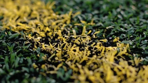 Yellow Line On Turf Field Macro Stock Footage 73775376