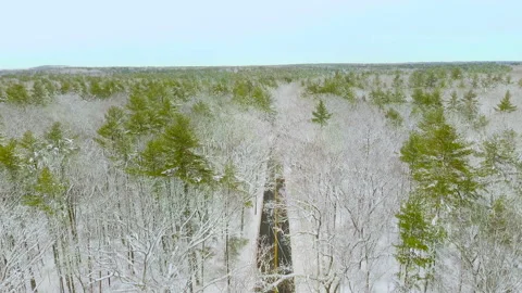 Yellow Lined Road In Winter Forest Stock Footage 147755723