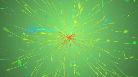 Yellow lines Stock Footage 67010197