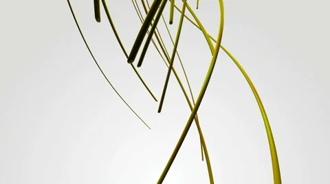 Yellow lines metallic Stock Footage 55444603