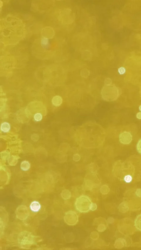Yellow liquid is filled with many tiny bubbles Stock Footage 323263125