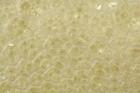 Yellow Liquid Soap Bubbles Texture Background Stock Photos