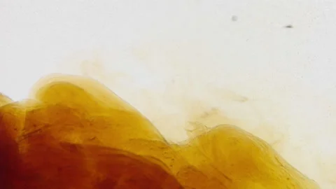 Yellow liquid in water on a white background. Stock Footage 236822534