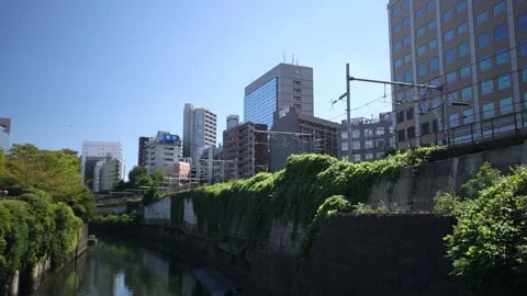 Yellow local train run through the city of Tokyo. Stock Footage 220095496