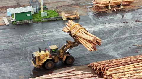 Yellow log loader lifting large bundle of fresh cut timber on wet port yard Stock Footage 336271650
