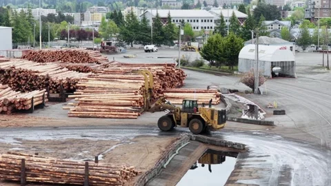 Yellow log loader moving across wet timber yard beside massive stacked log Vídeo Stock 336334669