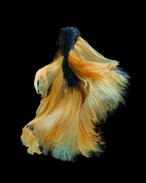 Yellow long skirt Stock Photos