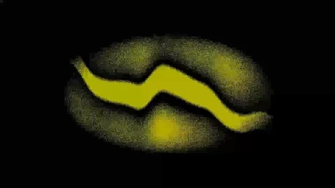 Yellow Looping Full HD Stock Footage 105678596