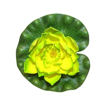 Yellow lotus Foto stock