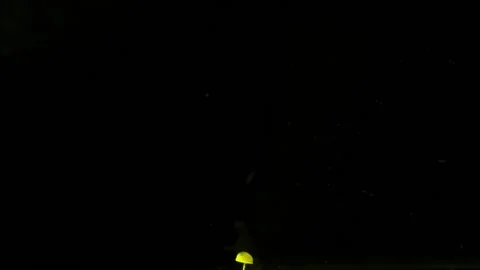 Yellow magic abstraction on black background. Stock Footage 88636988