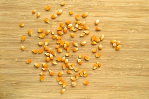 Yellow maize corn kernels ready for making popcorn, on bamboo cutting board Stock Photos