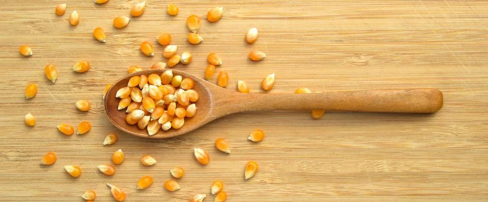Yellow maize corn kernels ready for making popcorn, on bamboo cutting board Stock Photos