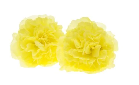 Yellow mallow flower Stock Photos