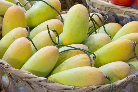 Yellow mango in bamboo basket Stock Photos