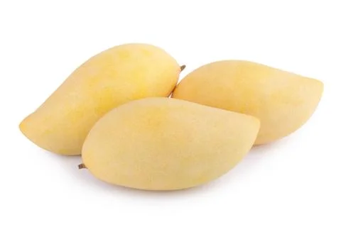 Yellow mango fruit on white background Stock Photos