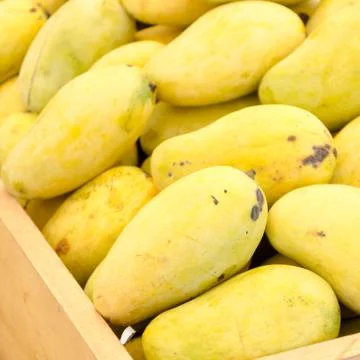 Yellow mango Stock Photos
