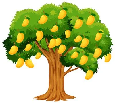 Yellow mango tree isolated on white background 스톡 일러스트