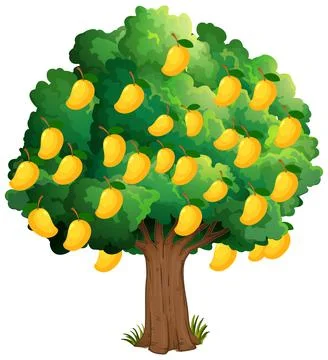 Yellow mango tree isolated on white background 스톡 일러스트