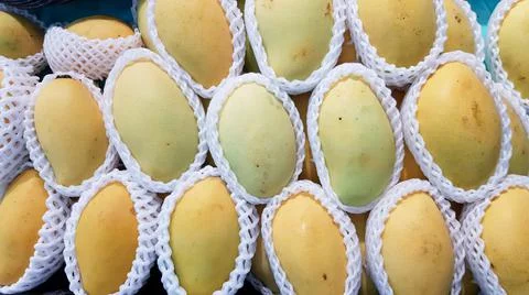 The yellow mango is wrapped in bubble wrap, placed in a shelf for sale. Stock Photos