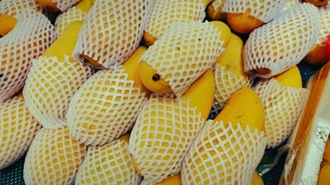 Yellow mangoes wrapped in protective mesh netting stacked in a market display, Stock Footage 335976061