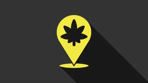 Yellow Map pointer and marijuana or cannabis leaf icon isolated on grey Stock Footage 147701978