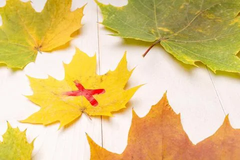 Yellow maple autumn leaf marked with red paint on a white wooden table Foto stock