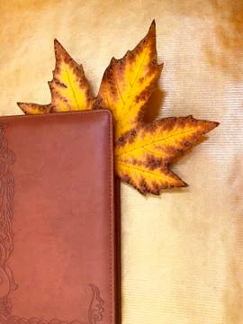 Yellow maple leaf and notepad. Stock Photos
