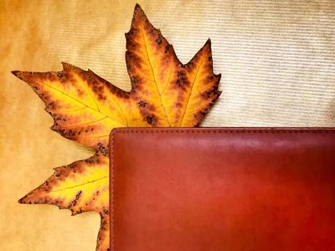 Yellow maple leaf and notepad. Foto stock