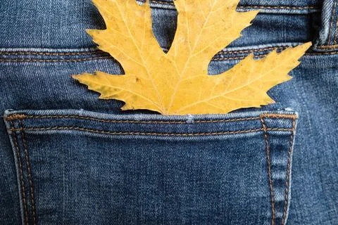 Yellow maple leaf in the back pocket of jeans. Seasonal sale concept. Copy .. Фото