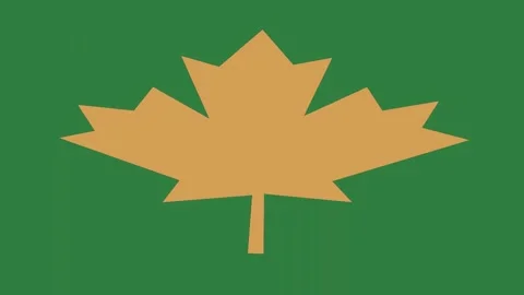 Yellow maple leaf on backgrounds elements colorful creative style emotion Stock Footage 335147380