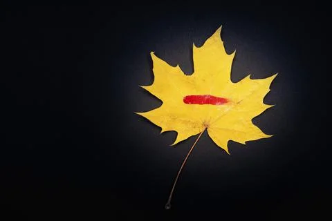 Yellow maple leaf on a black background with a red paint mark on the leaf Stock Photos