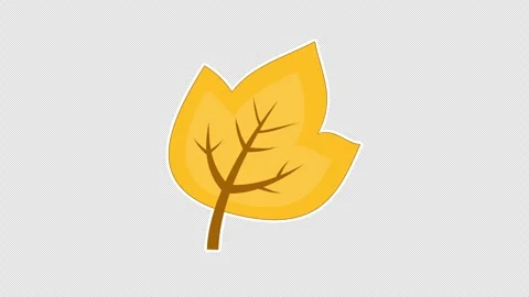 Yellow maple leaf Vídeos de archivo 337352283