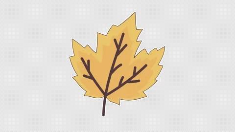 Yellow maple leaf Stock Footage 337352642