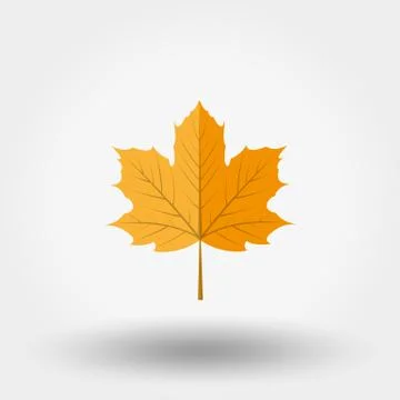 Yellow maple leaf icon Stock Illustration