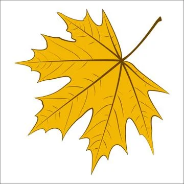 Yellow maple leaf イラスト素材