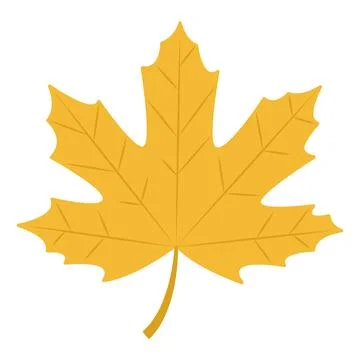 Yellow maple leaf Stock Illustration