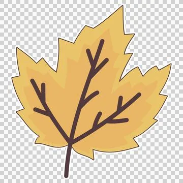 Yellow maple leaf Stock Illustration