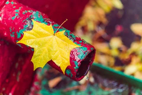 A yellow maple leaf lies on a red pipe Stock Photos
