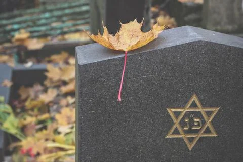 A yellow Maple Leaf is lying on gravestone with the star of David symbol. Jewish Stock Photos