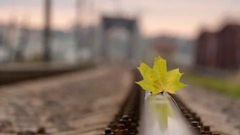 Yellow maple leaf on old rusty rails. Concept of loneliness and the onset of  Foto stock