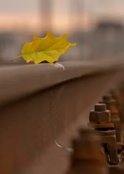 Yellow maple leaf on old rusty rails. Concept of loneliness and the onset of  Stock Photos