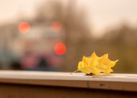 Yellow maple leaf on old rusty rails. Concept of loneliness and the onset of  Stock Photos